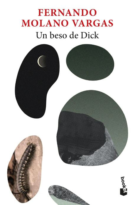 Portada de Un beso de Dick